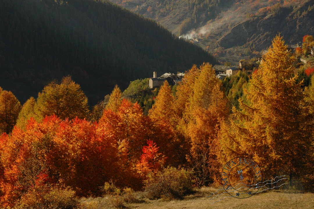 Autumnal landscape in Maira Valley featuring trees with golden and orange leaves under a clear blue sky.