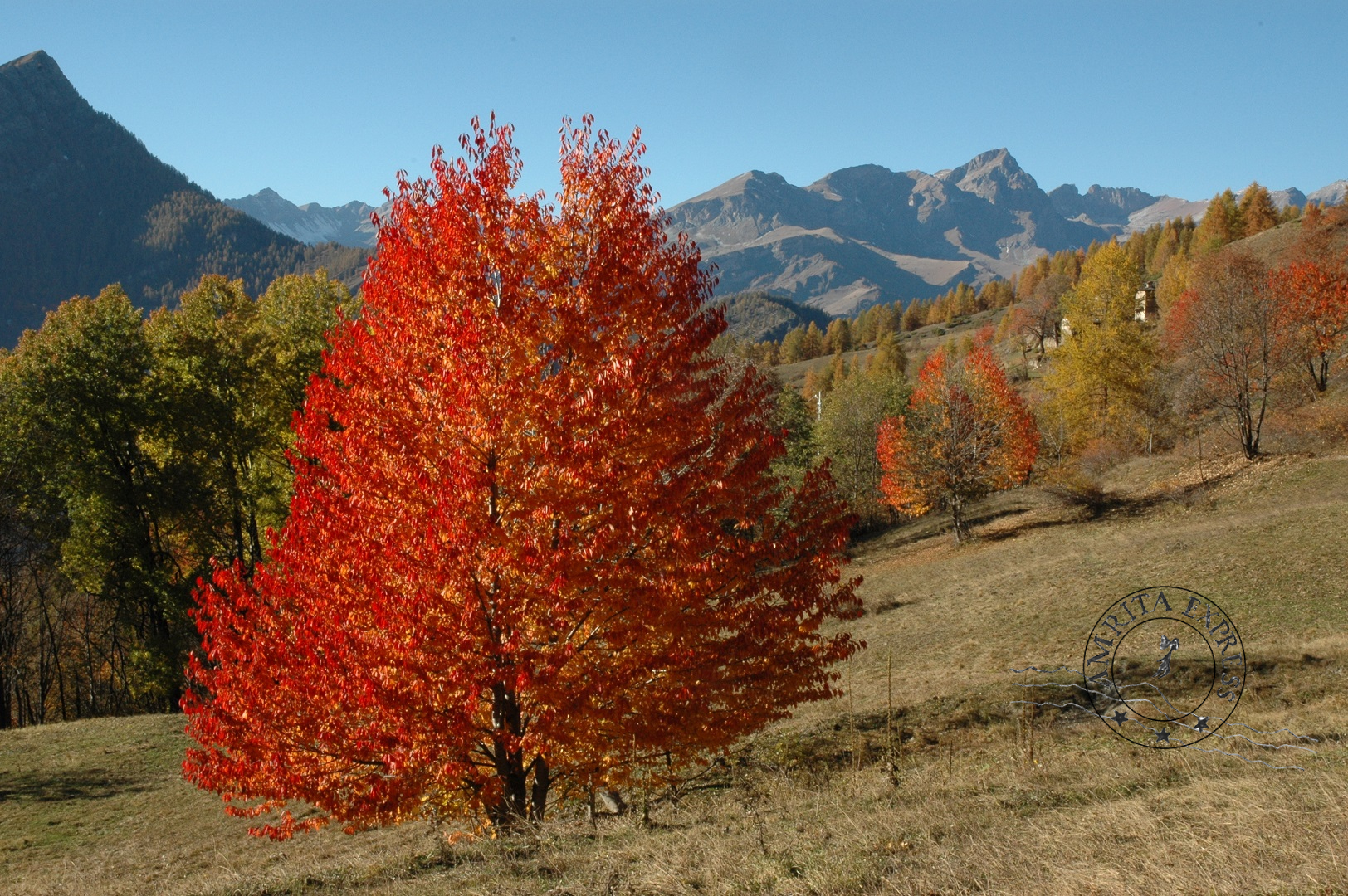 A rugged mountain rock face seen from Marmora with golden and orange autumn branches in the foreground, overlooking the valley under a soft, hazy sky.